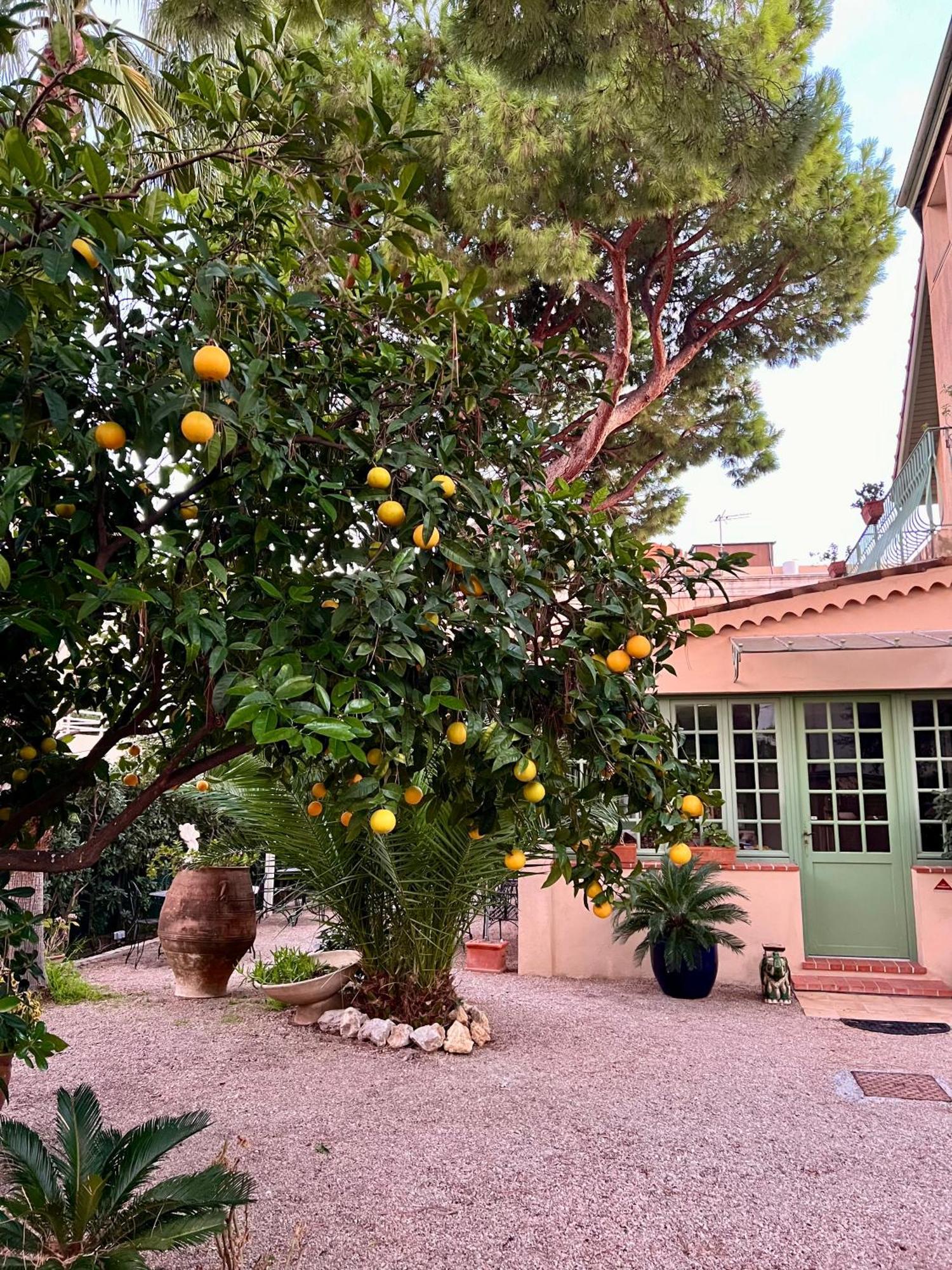 Hotel Le Ponteil Antibes Buitenkant foto